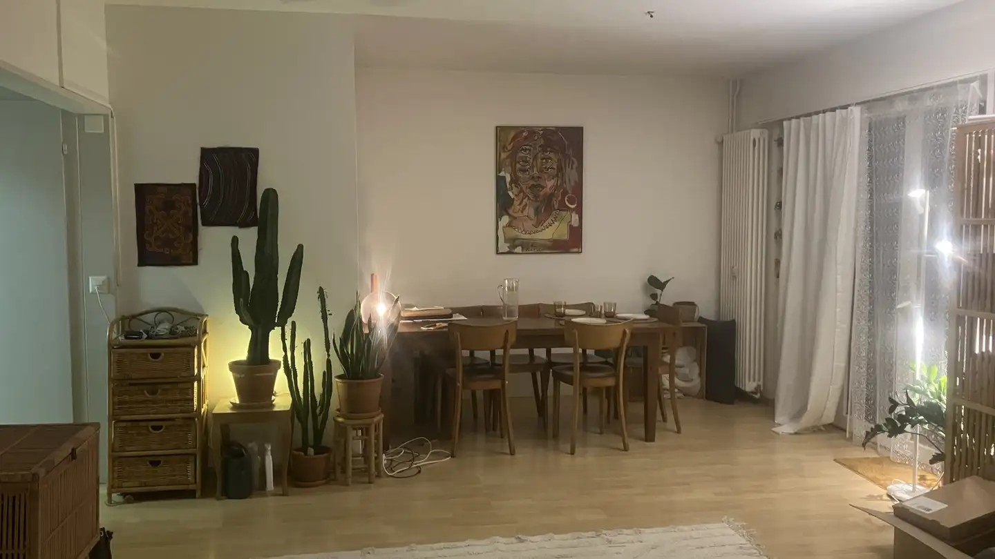 Appartamento in affitto - 8200 Schaffhausen - Foto 4