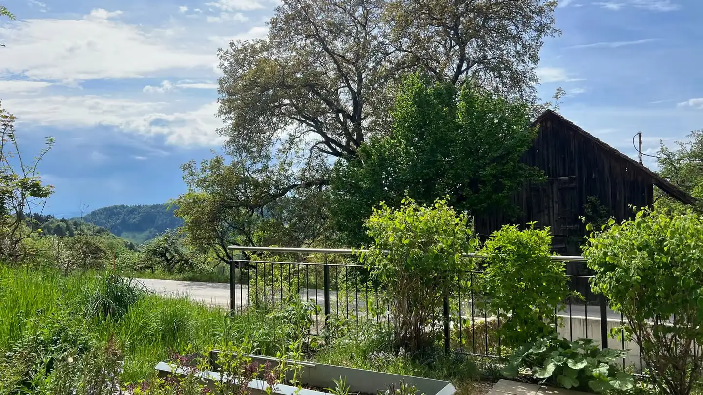 Appartamento in affitto - Hinterbuechenegg 10, 8143 Stallikon - Foto 3