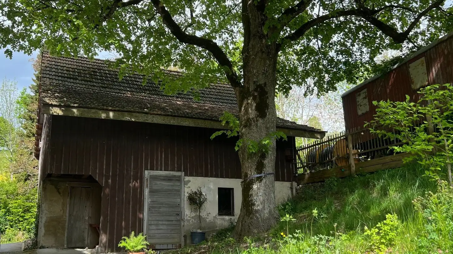 Appartamento in affitto - Hinterbuechenegg 10, 8143 Stallikon - Foto 4