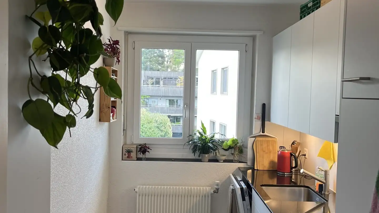 Chambre à louer - 3008 Bern - Photo 3