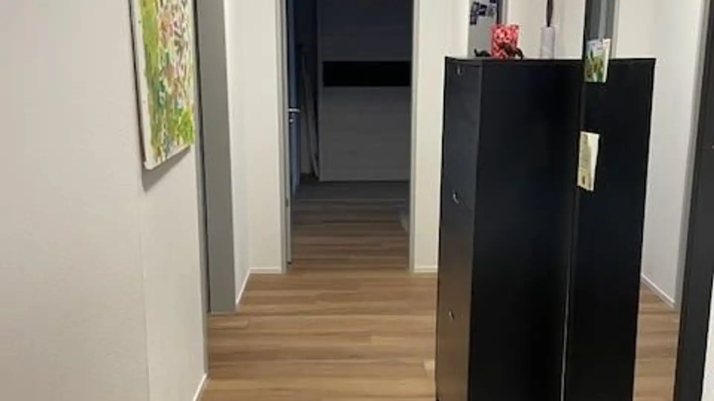 Appartamento in affitto - Ziegeleistrasse, 8406 Winterthur - Photo 3