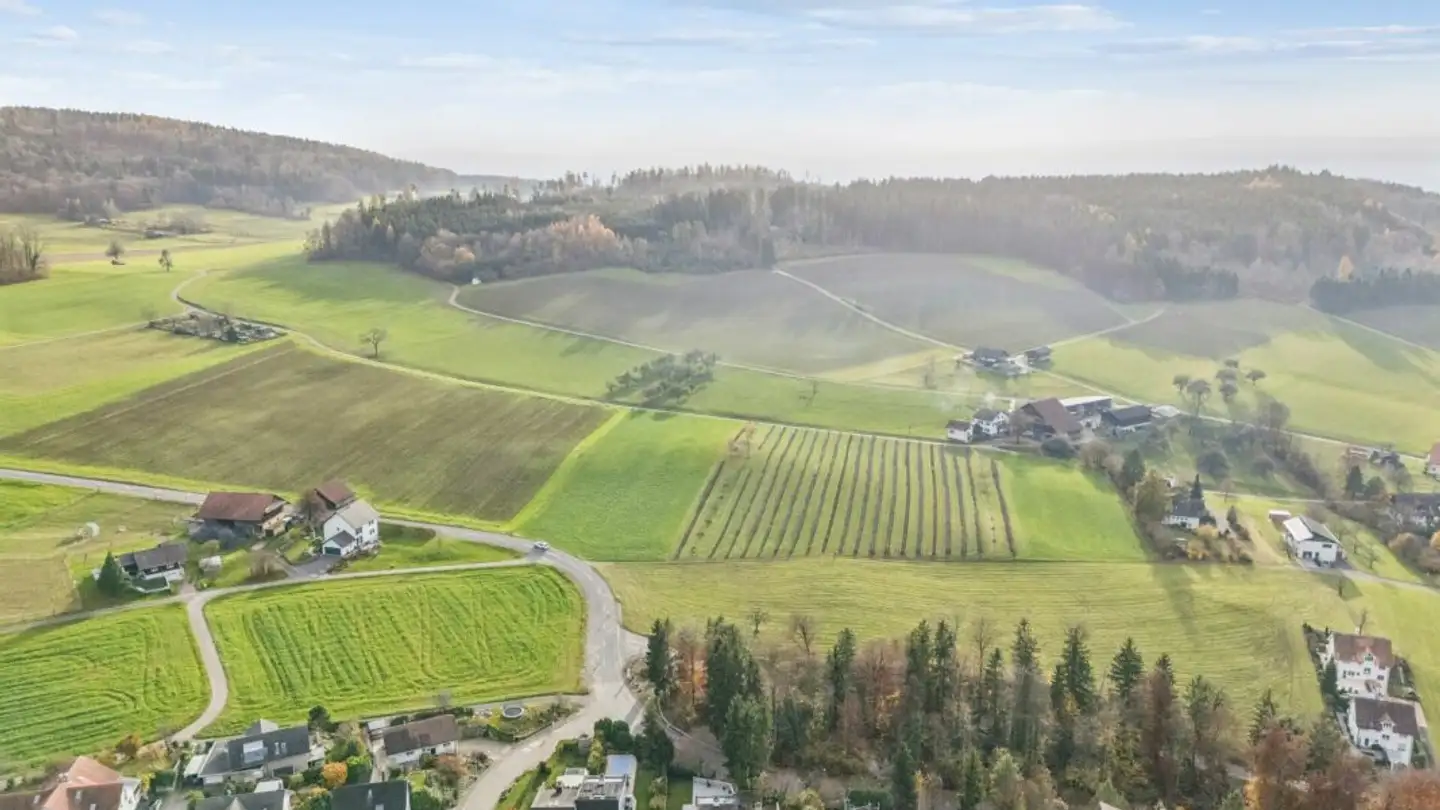 Einfamilienhaus kaufen - Buecheneggstrasse 3a, 8906 Bonstetten - Foto 2