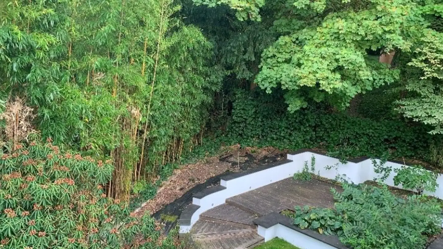 Villa in affitto - Chemin de la Petite-Boissière 22A, 1208 Genève - Foto 4