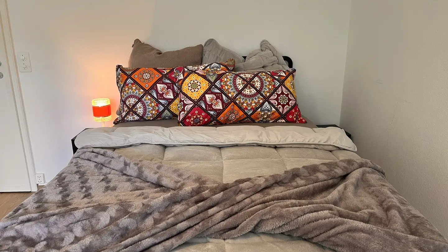 Single room for rent - 4055 Basel - Photo 2