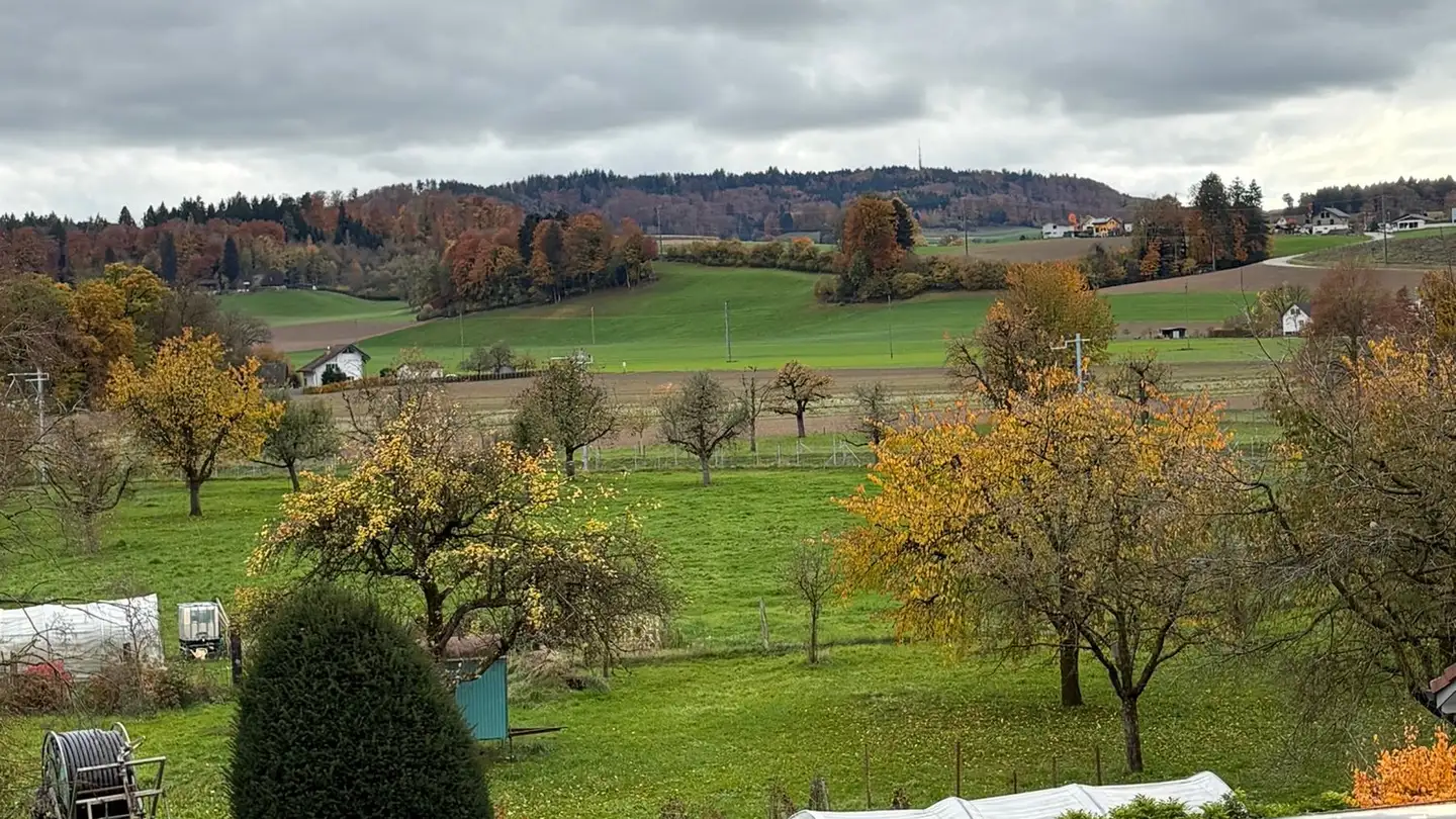 Apartment for sale - Obergasse 2, 4932 Lotzwil - Photo 4