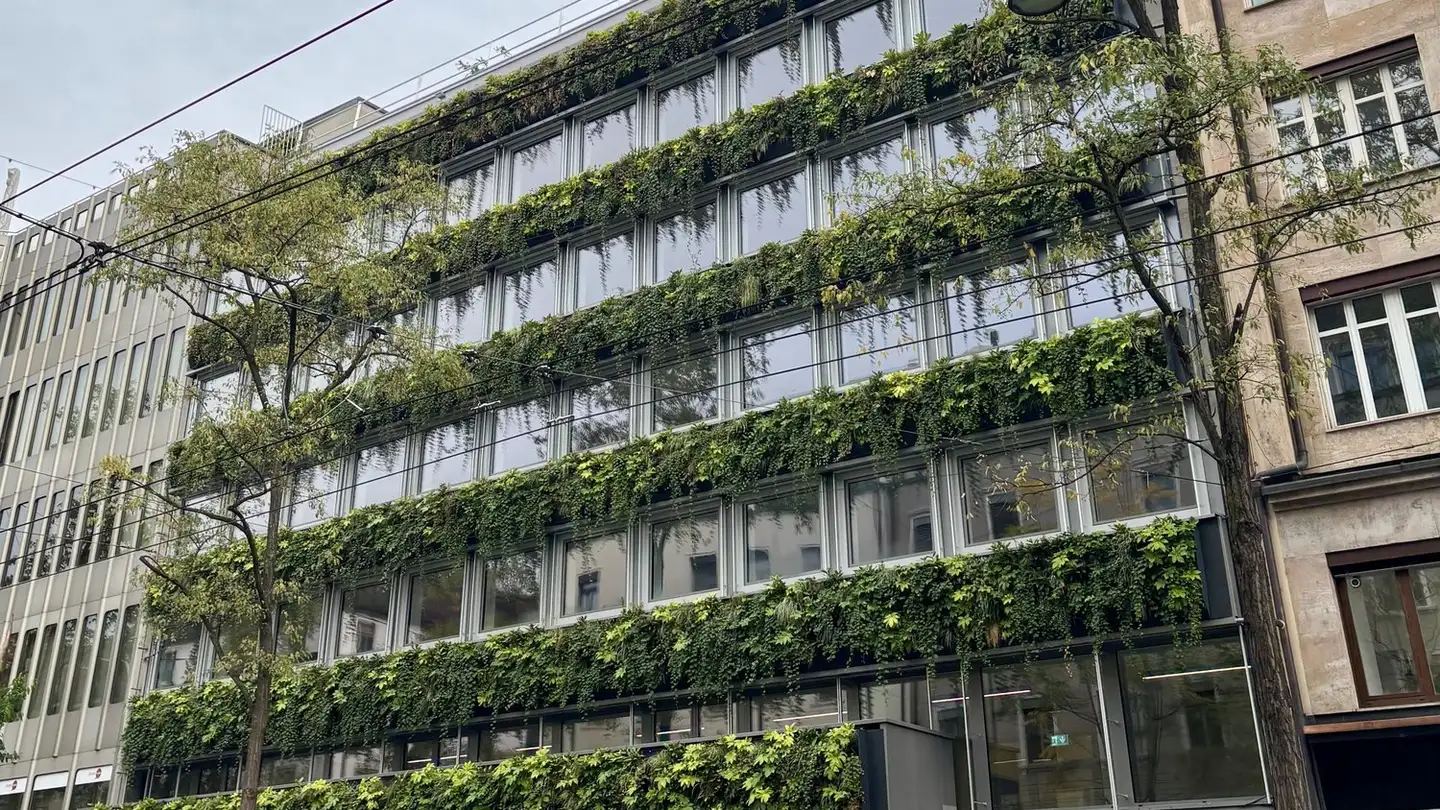 Spazio ufficio in affitto - Löwenstrasse 56, 8001 Zürich