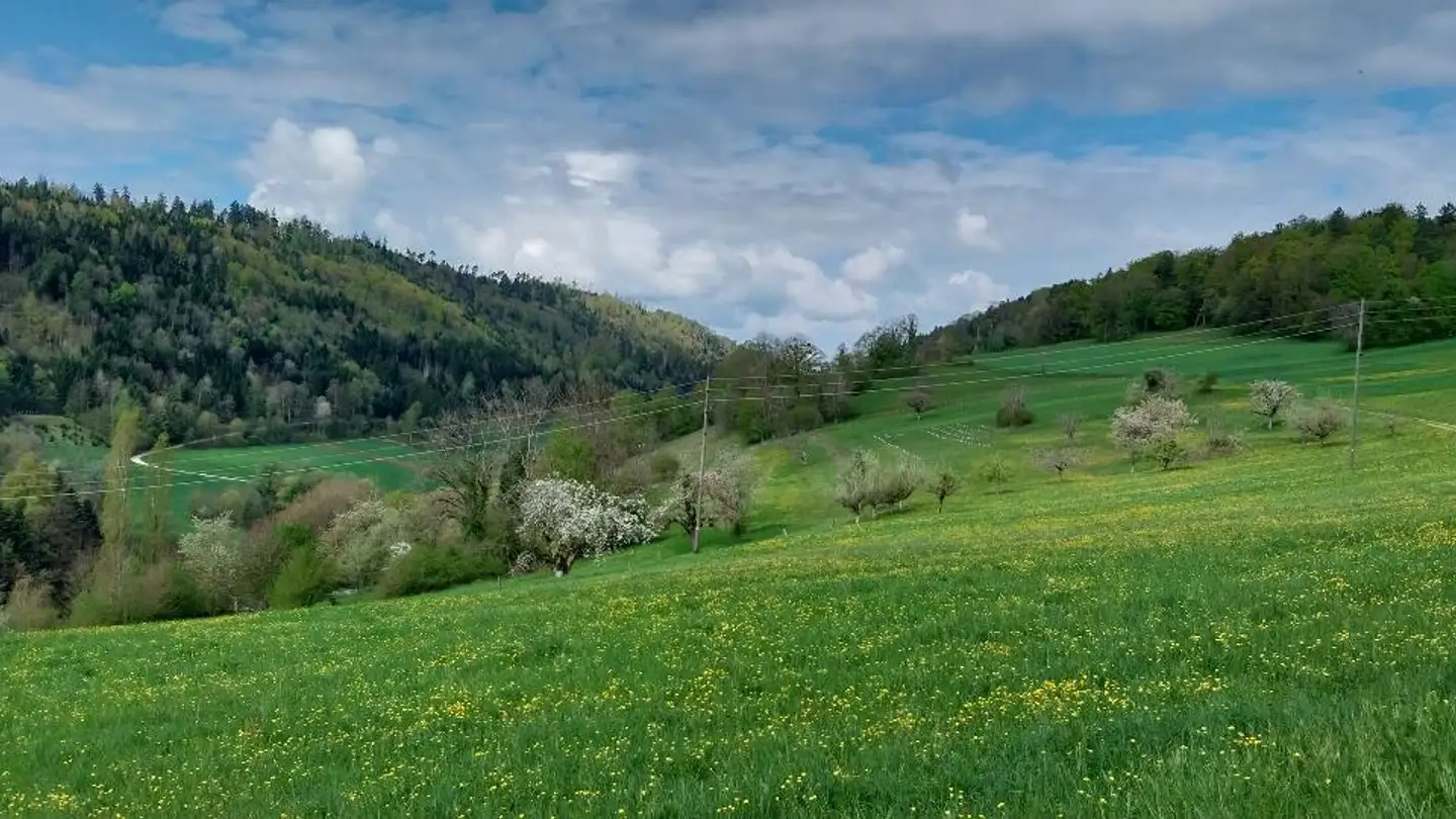 Terreno edificabile in vendita - Steinmattenweg, 4254 Liesberg Dorf