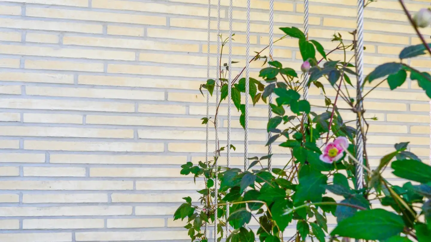 Appartement à louer - Neue Jonastrasse 85a, 8640 Rapperswil SG - Photo 3