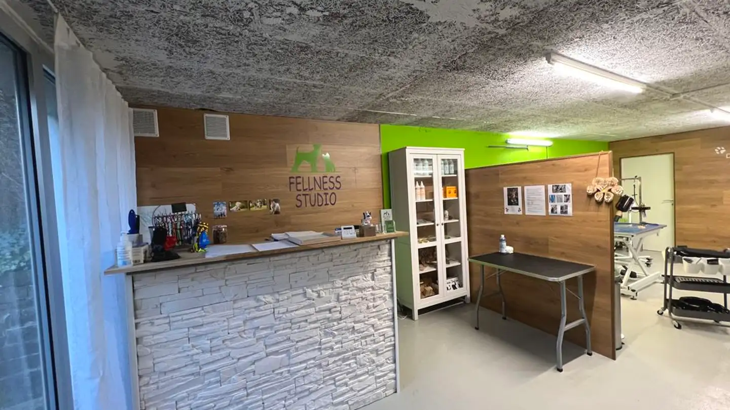 Workshop for rent - Wellhauserweg 31, 8500 Frauenfeld