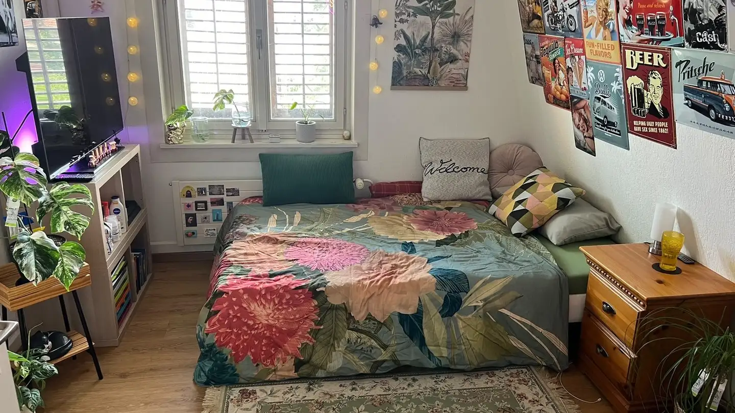 Single room for rent - Friedheimstrasse 29, 8404 Winterthur