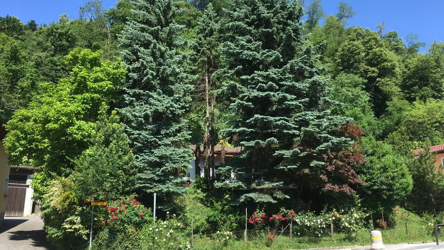 Single house for sale - Via Al Municipio 5, 6917 Barbengo - Photo 2