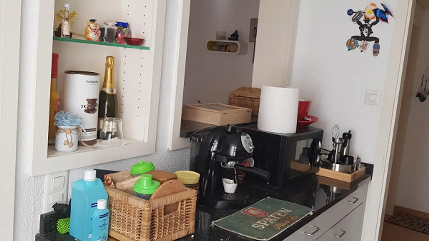 Apartment for rent - Steingrüeblistrasse 44, 9000 St. Gallen - Photo 3