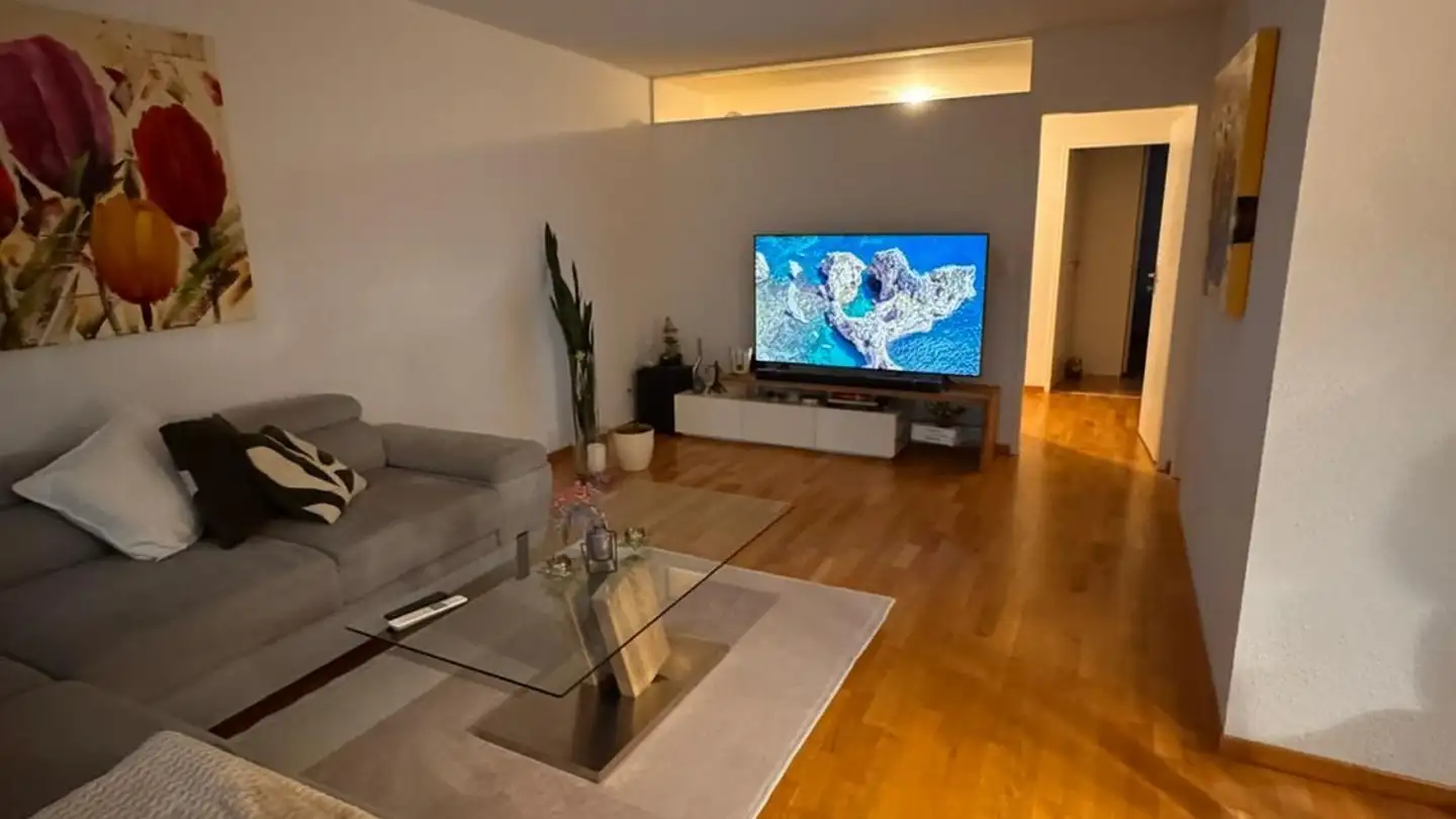 Appartamento in affitto - Girixweg 13, 5000 Aarau