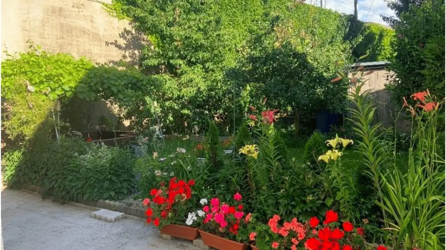 Single room for rent - Aarburgerstrasse 173, 4600 Olten - Photo 4
