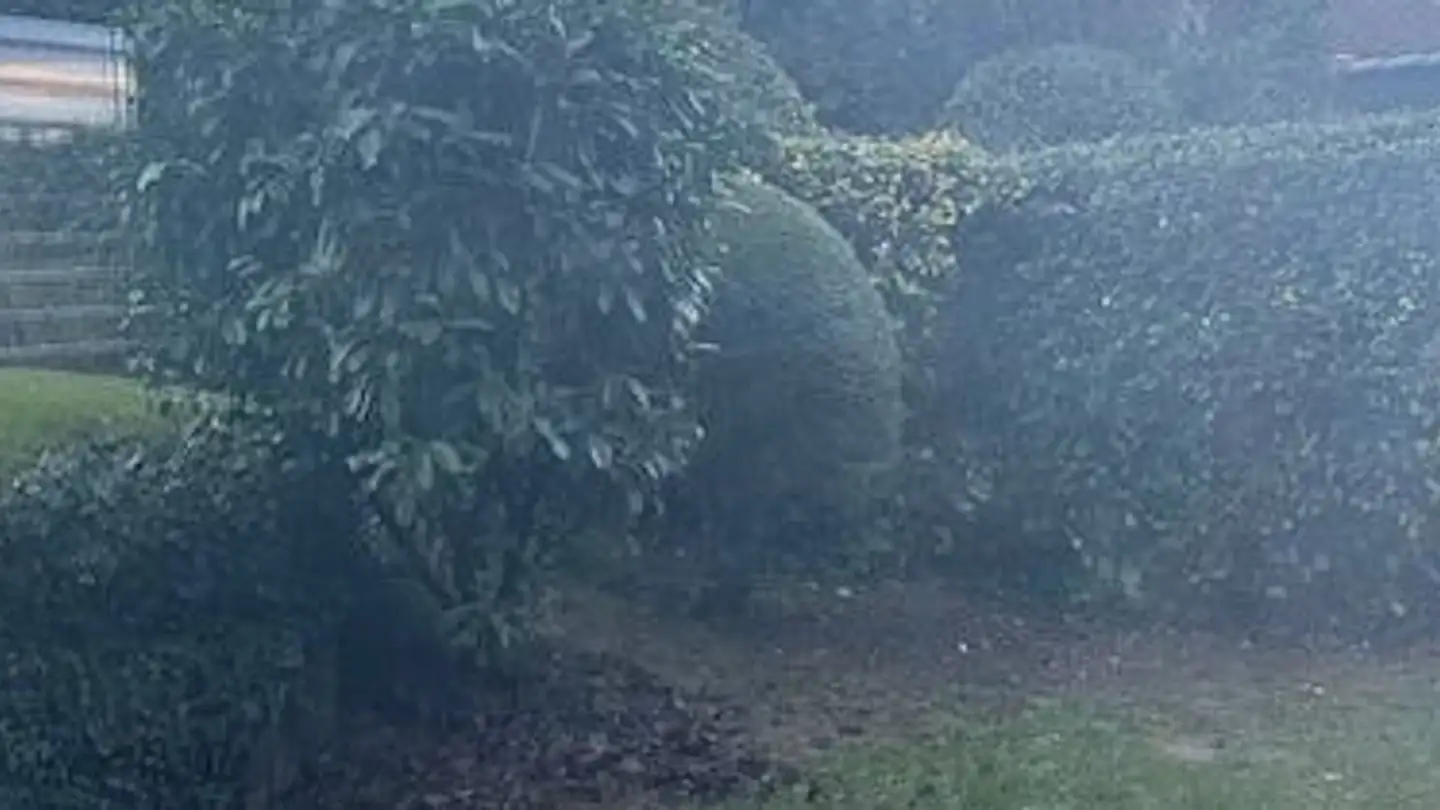 Appartamento in affitto - Route de la Capite, 1223 Cologny