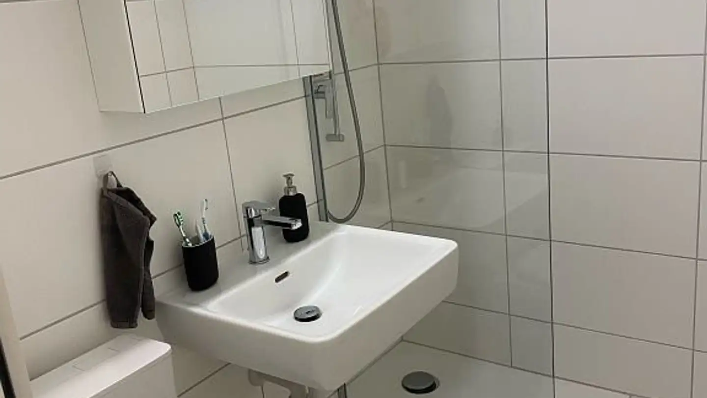 Apartment for rent - Allmendstrasse 170, 3603 Thun - Photo 4