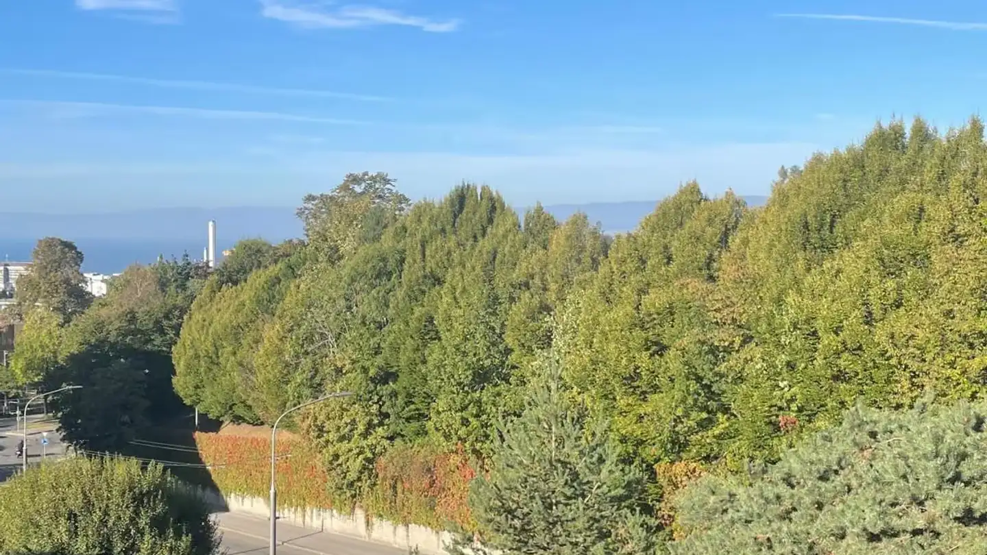 Attique à louer - Avenue Des Boveresses, 1010 Lausanne