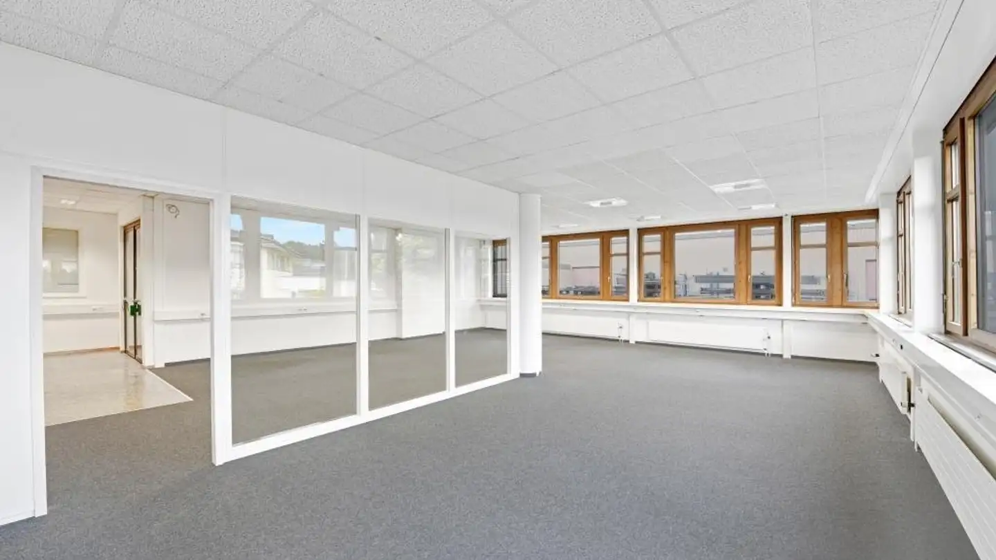 Commerciale in affitto - Murgtalstrasse 18, 9542 Münchwilen TG - Photo 4