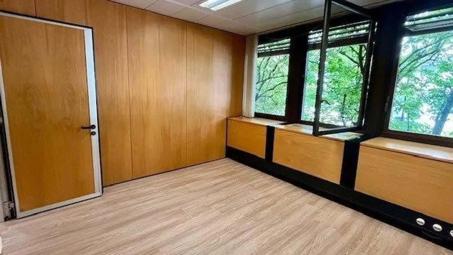 Bureau à louer - Via Giuseppe Cattori, 6900 Paradiso