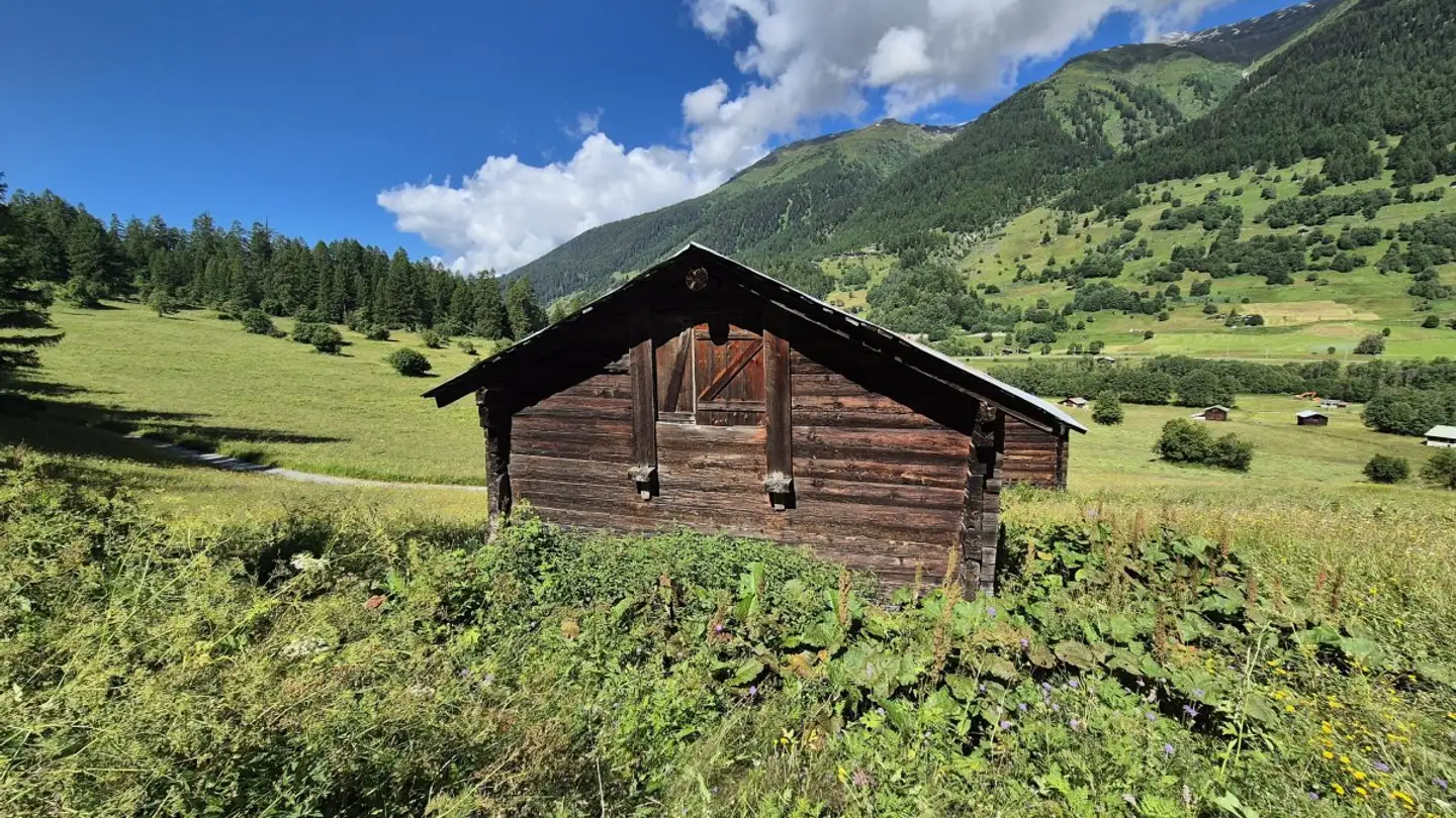 Landwirtschaftsbetrieb kaufen - 3989 Selkingen