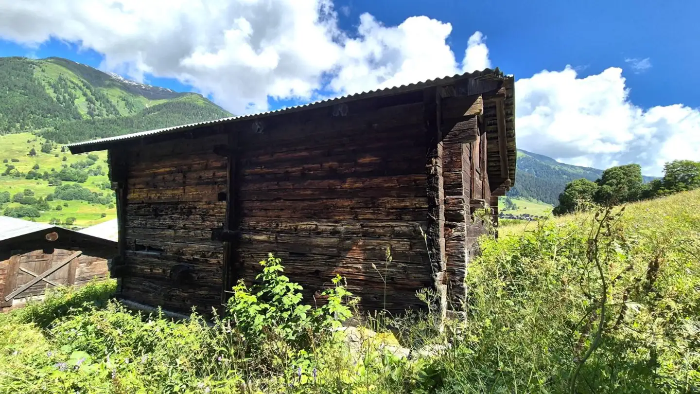 Landwirtschaftsbetrieb kaufen - 3989 Selkingen - Foto 3