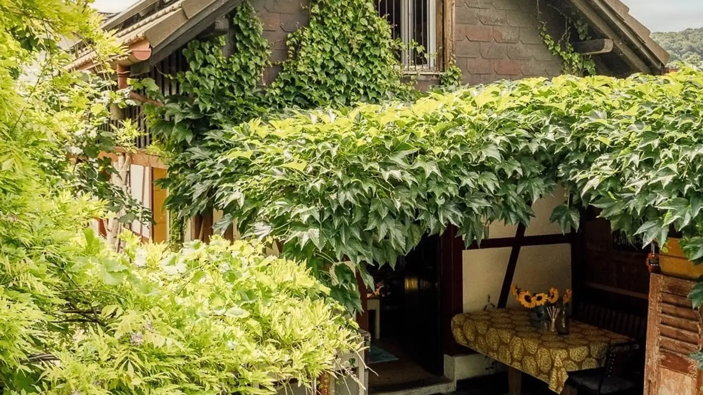 Appartamento in affitto - Breitiweg 3, 8264 Eschenz - Foto 4