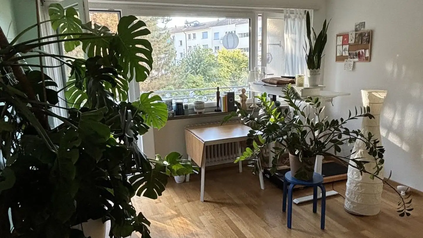Appartement à louer - Schlossgasse 5, 8003 Zürich