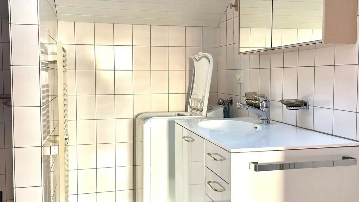 Appartamento in affitto - Sonnenbergstrasse 11, 5621 Zufikon - Photo 4