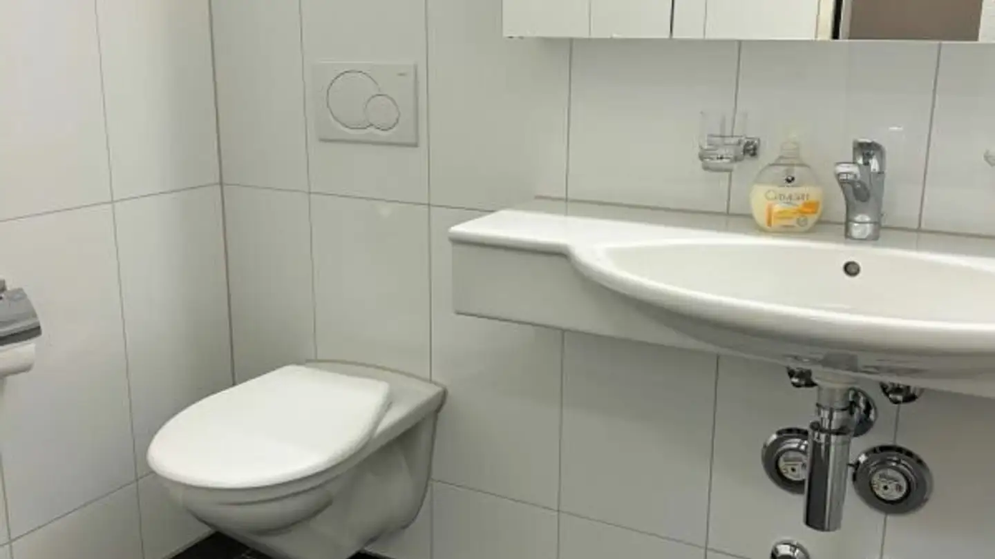 Commercial for rent - Unterdorf 25, 8914 Aeugst am Albis - Photo 3