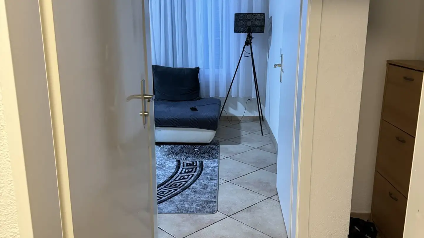Appartamento in affitto - Engstringerstrasse 26, 8952 Schlieren
