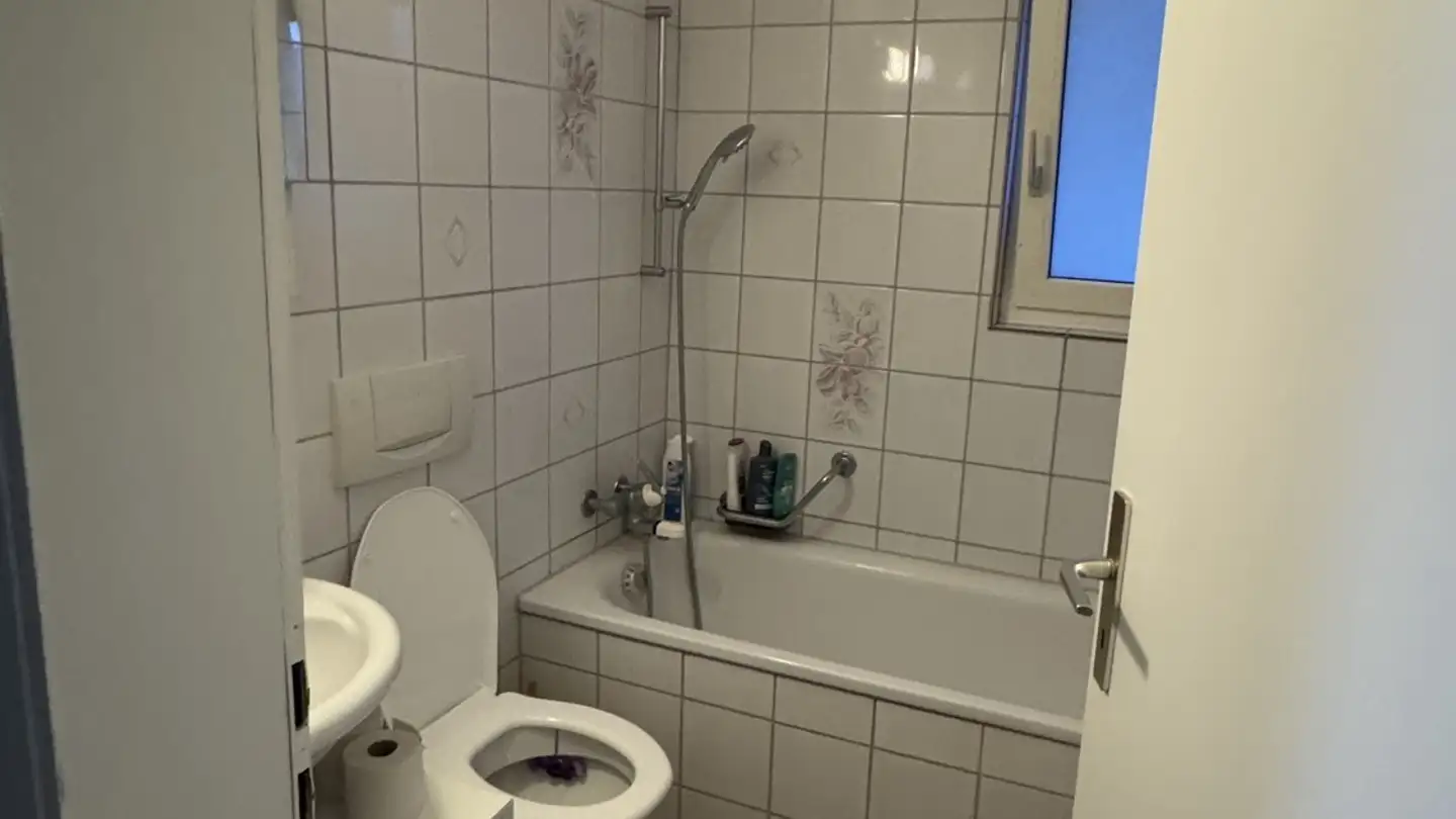 Appartamento in affitto - Engstringerstrasse 26, 8952 Schlieren - Foto 2