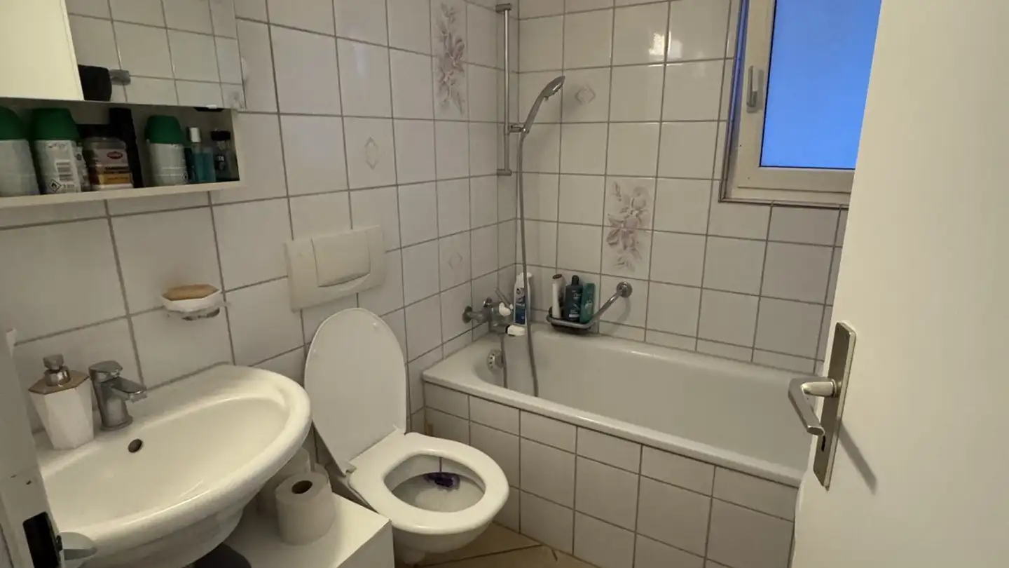 Appartamento in affitto - Engstringerstrasse 26, 8952 Schlieren - Foto 3