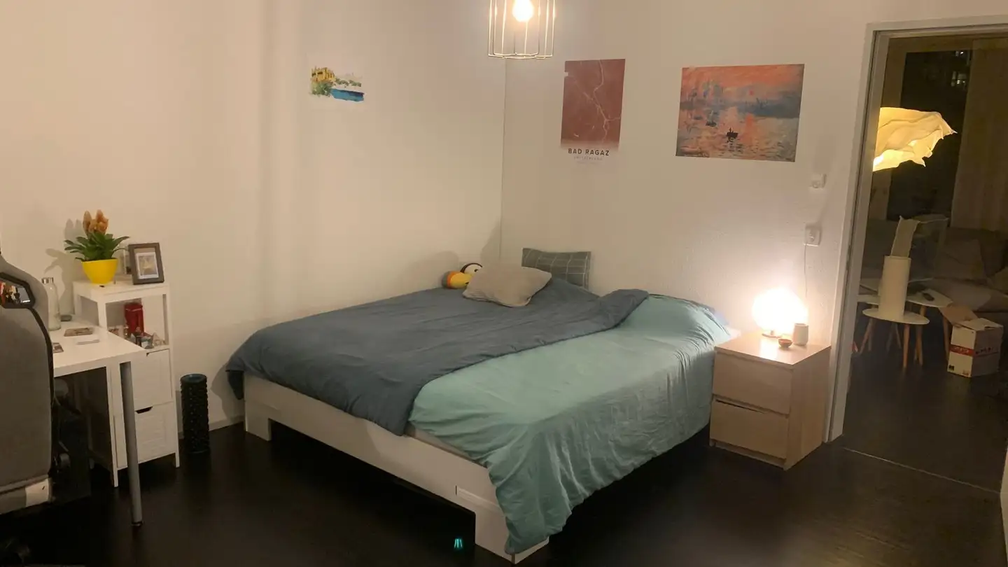 Stanza singola in affitto - Freilagerstrasse 101, 8047 Zürich - Foto 2