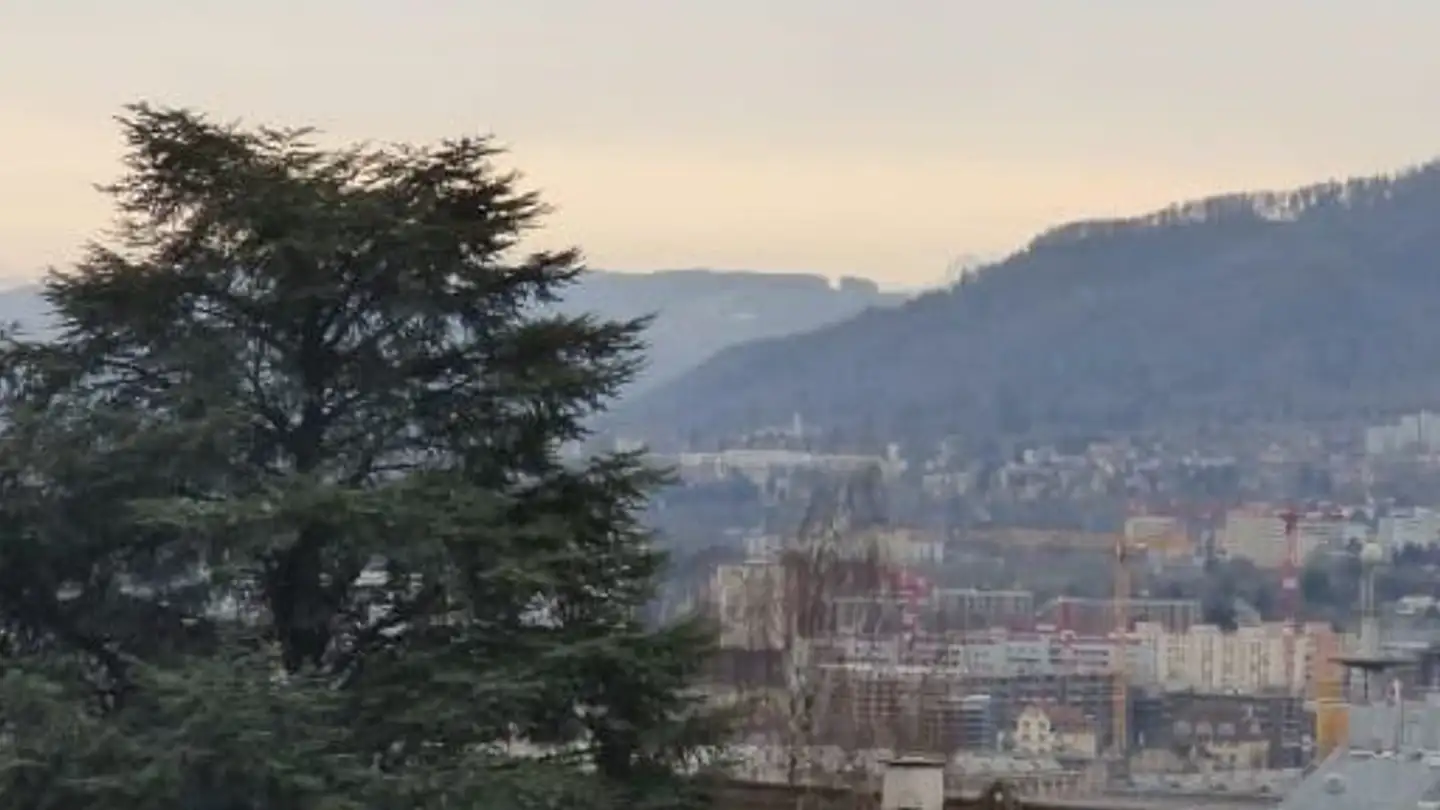 Appartamento in affitto - Limmattalstrasse 177, 8049 Zürich