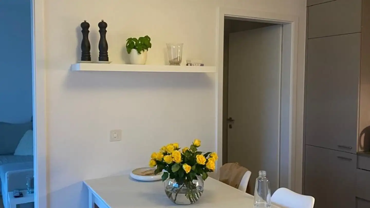 Appartamento in affitto - Route Des Plaines-Du-Loup, 1018 Lausanne - Foto 2