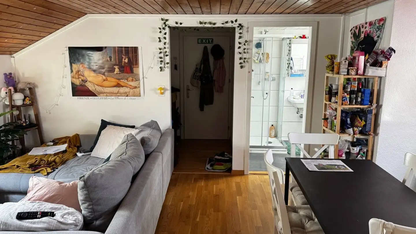 Appartamento in affitto - Schleusenstrasse 1, 9620 Lichtensteig - Foto 4
