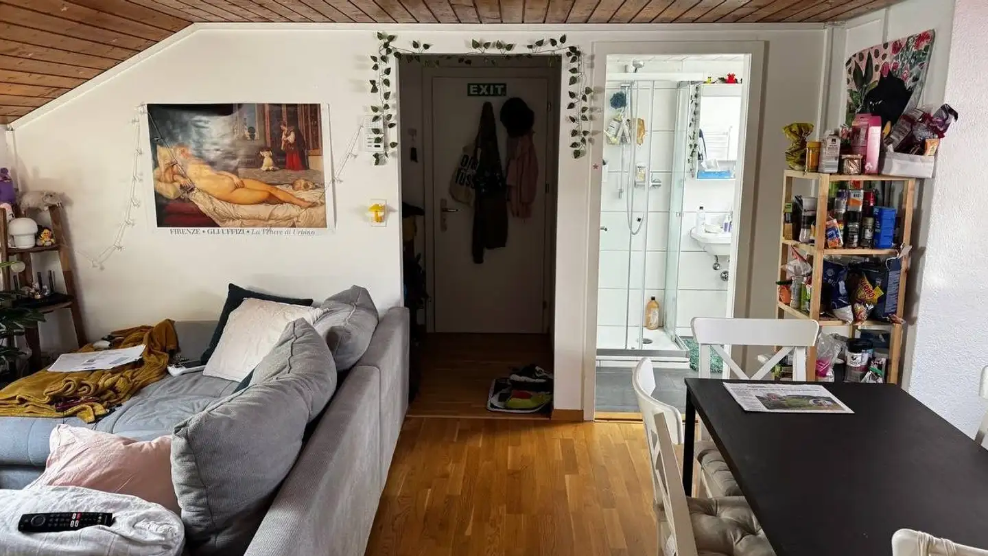 Appartamento in affitto - Schleusenstrasse 1, 9620 Lichtensteig - Foto 4