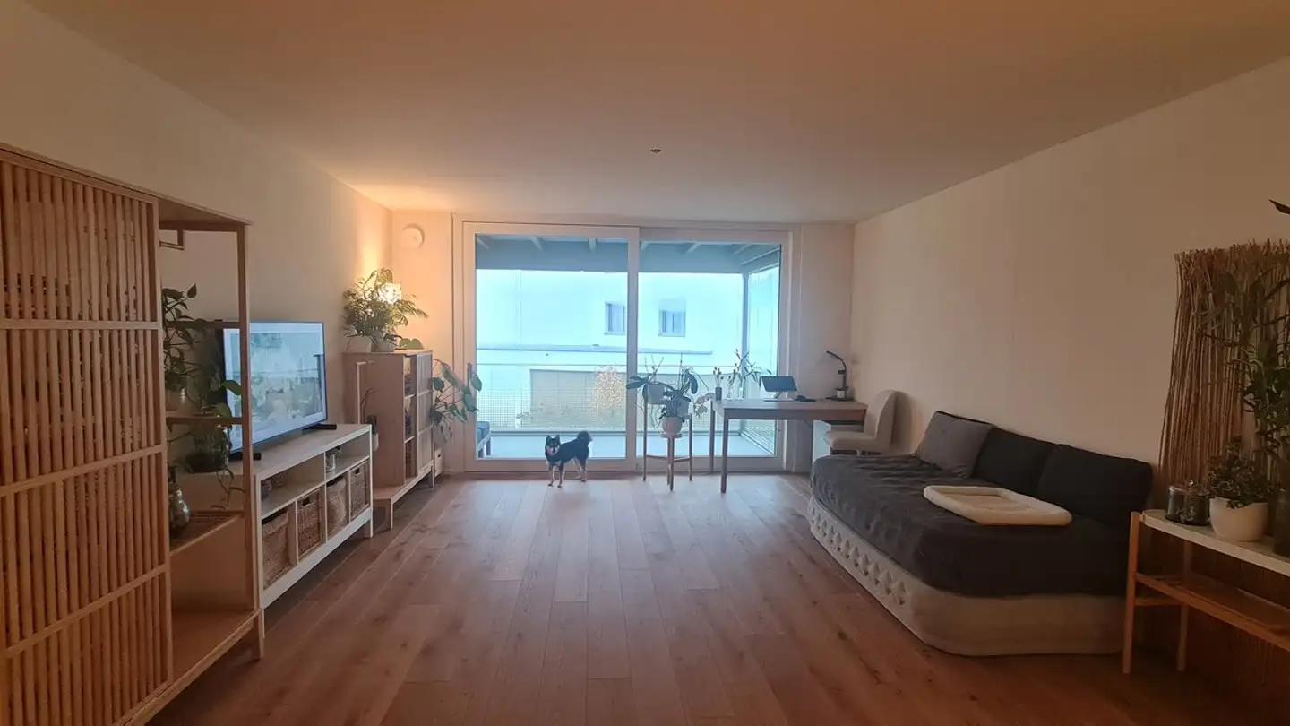 Appartamento in vendita - Schlattgasse 4, 8716 Schmerikon - Photo 2