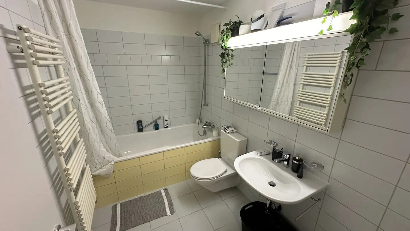 Appartamento in affitto - Auhofstrasse 7, 8051 Zürich - Foto 4