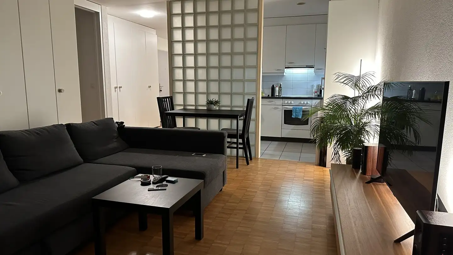 Appartamento in affitto - Auhofstrasse 7, 8051 Zürich - Foto 3