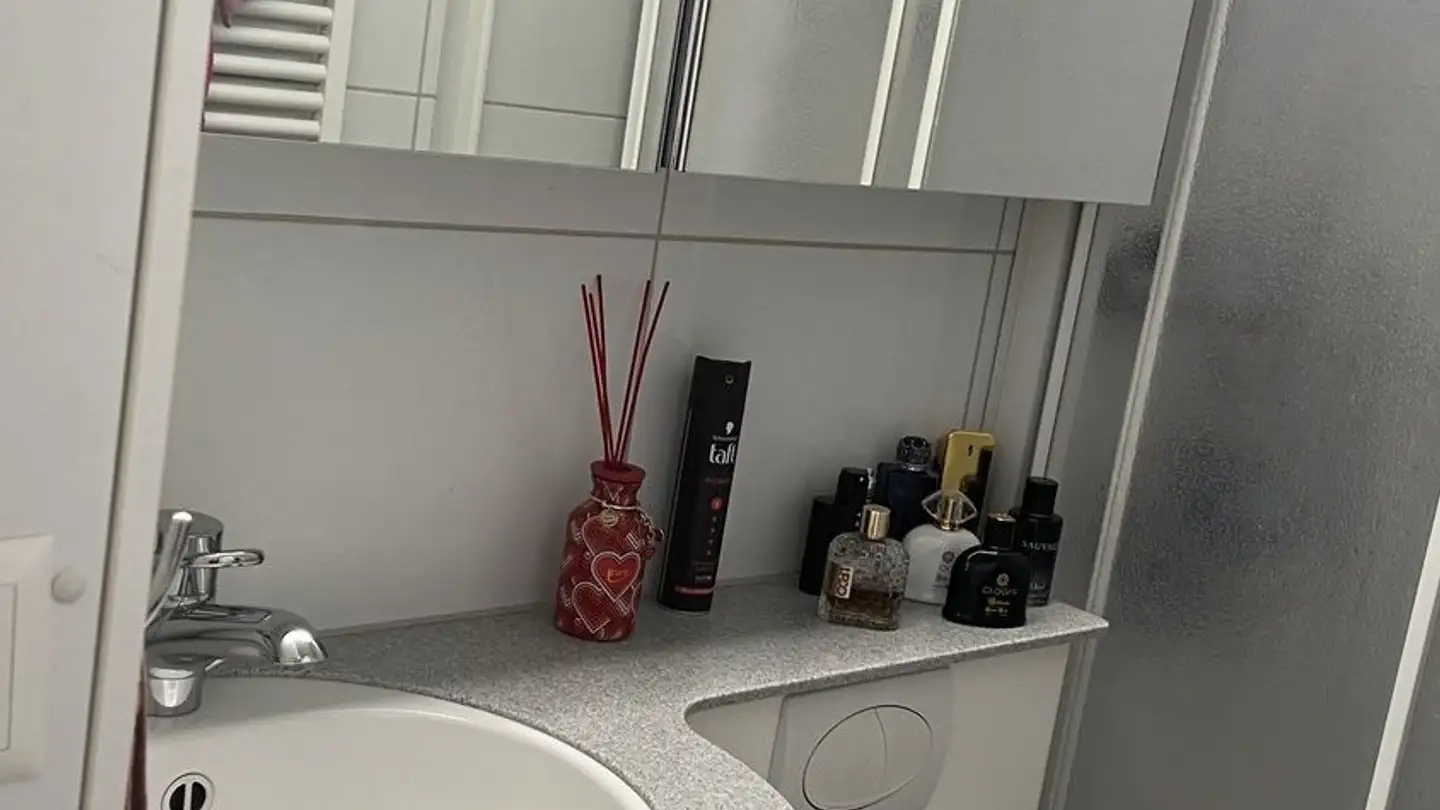 Wohnung mieten - Endlikerstrasse 97, 8400 Winterthur - Foto 4