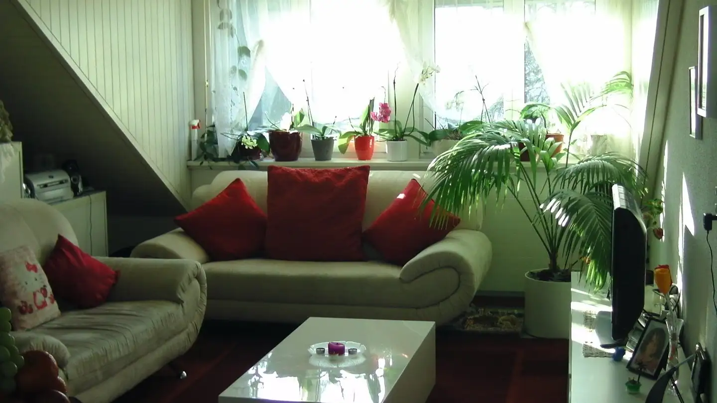 Attico in affitto - Bahnhofstrasse 15, 8353 Elgg - Photo 3