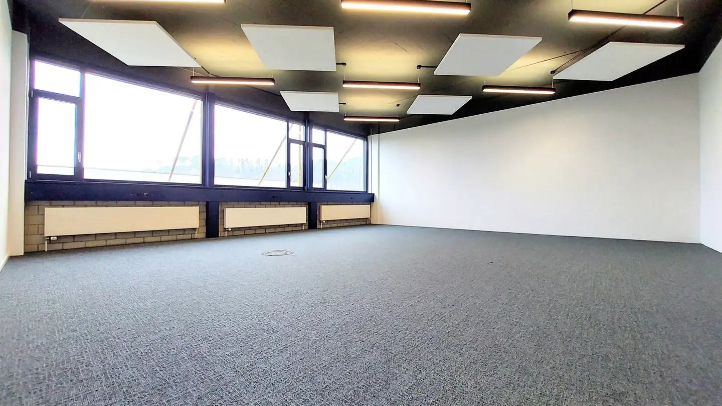 Proprietà industriale in affitto - Freiburgstrasse 453, 3018 Bern - Foto 3