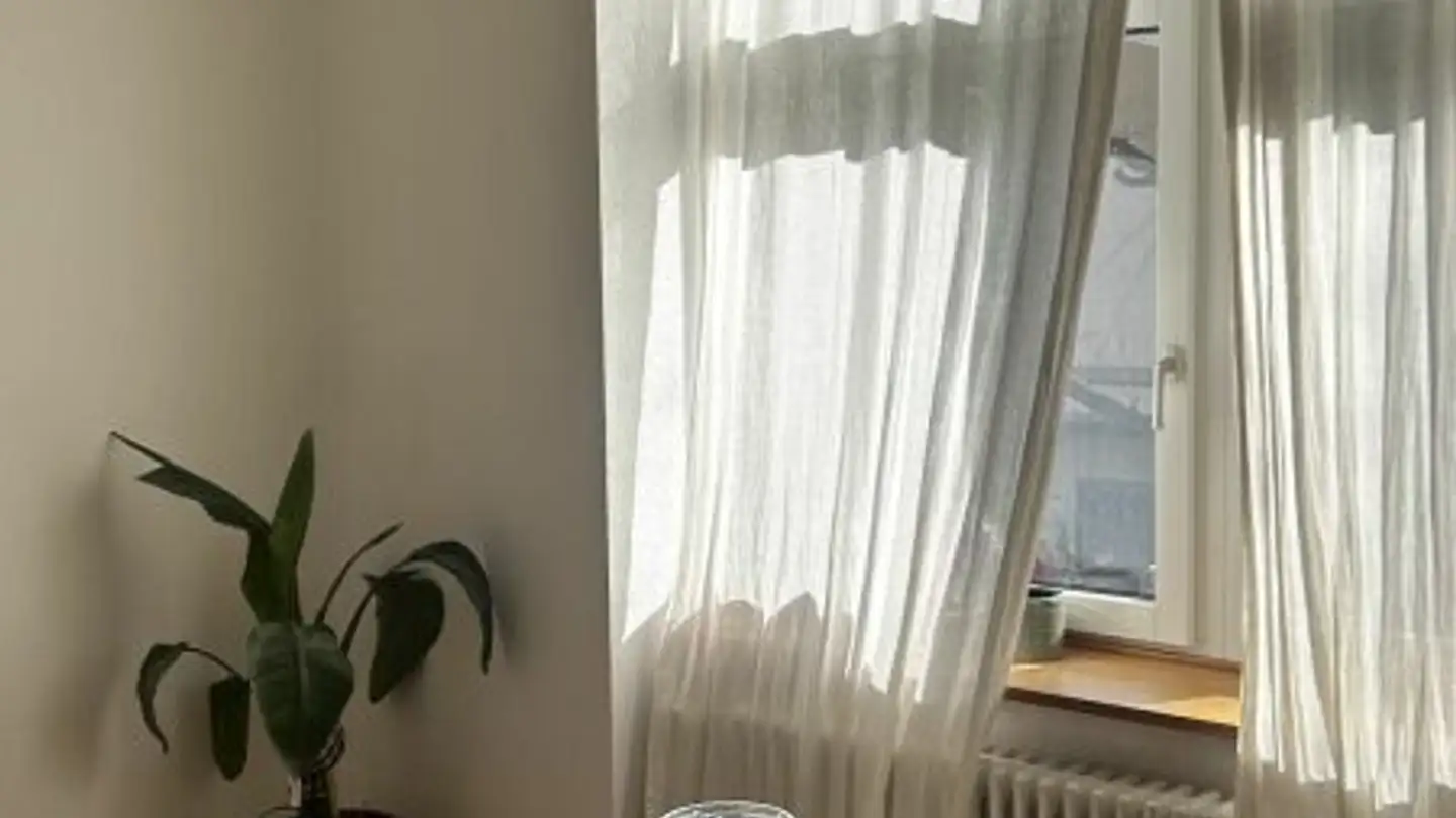 Wohnung mieten - Dufourstrasse 185, 8008 Zürich - Foto 2