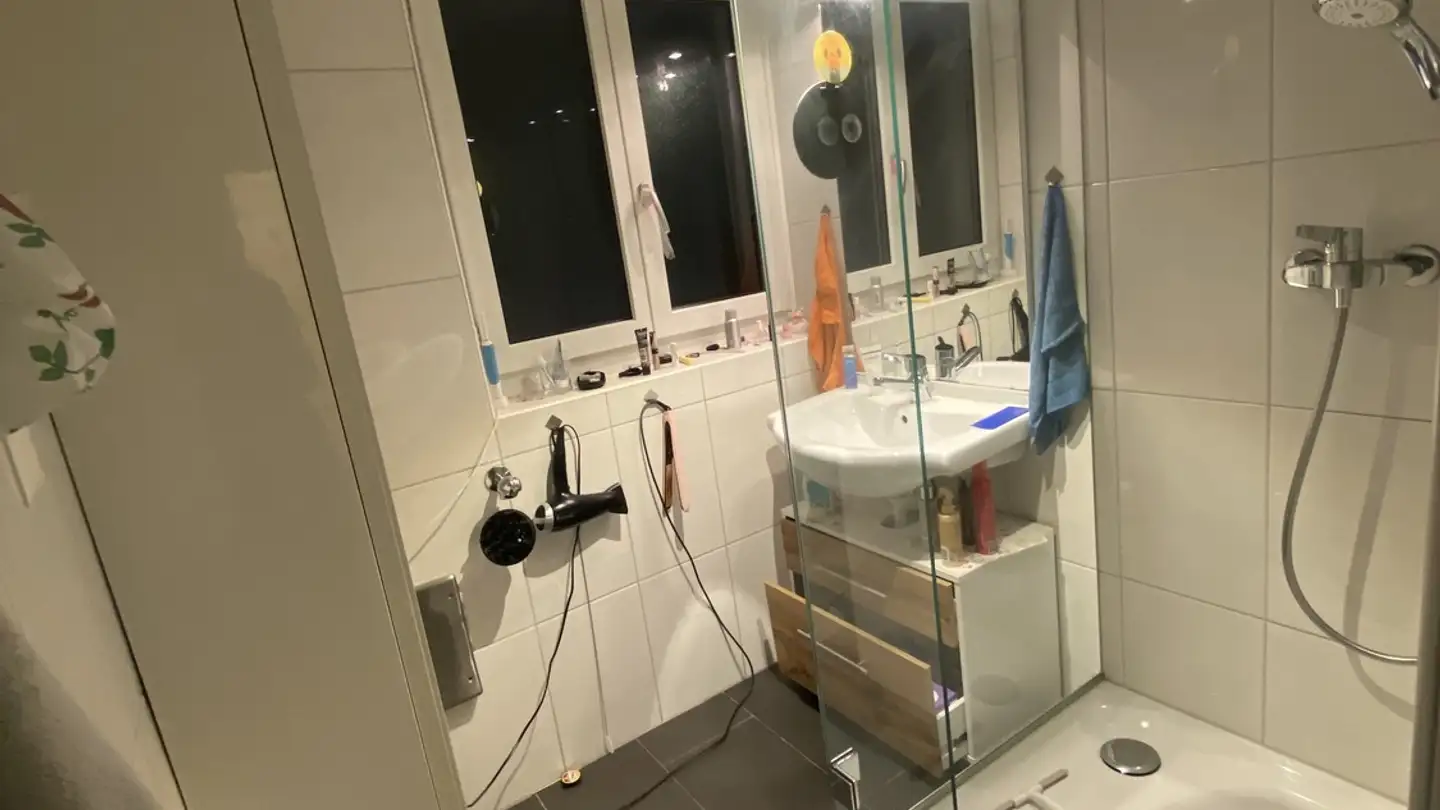 Apartment for rent - Rotbuchstrasse 42, 8600 Dübendorf - Photo 3