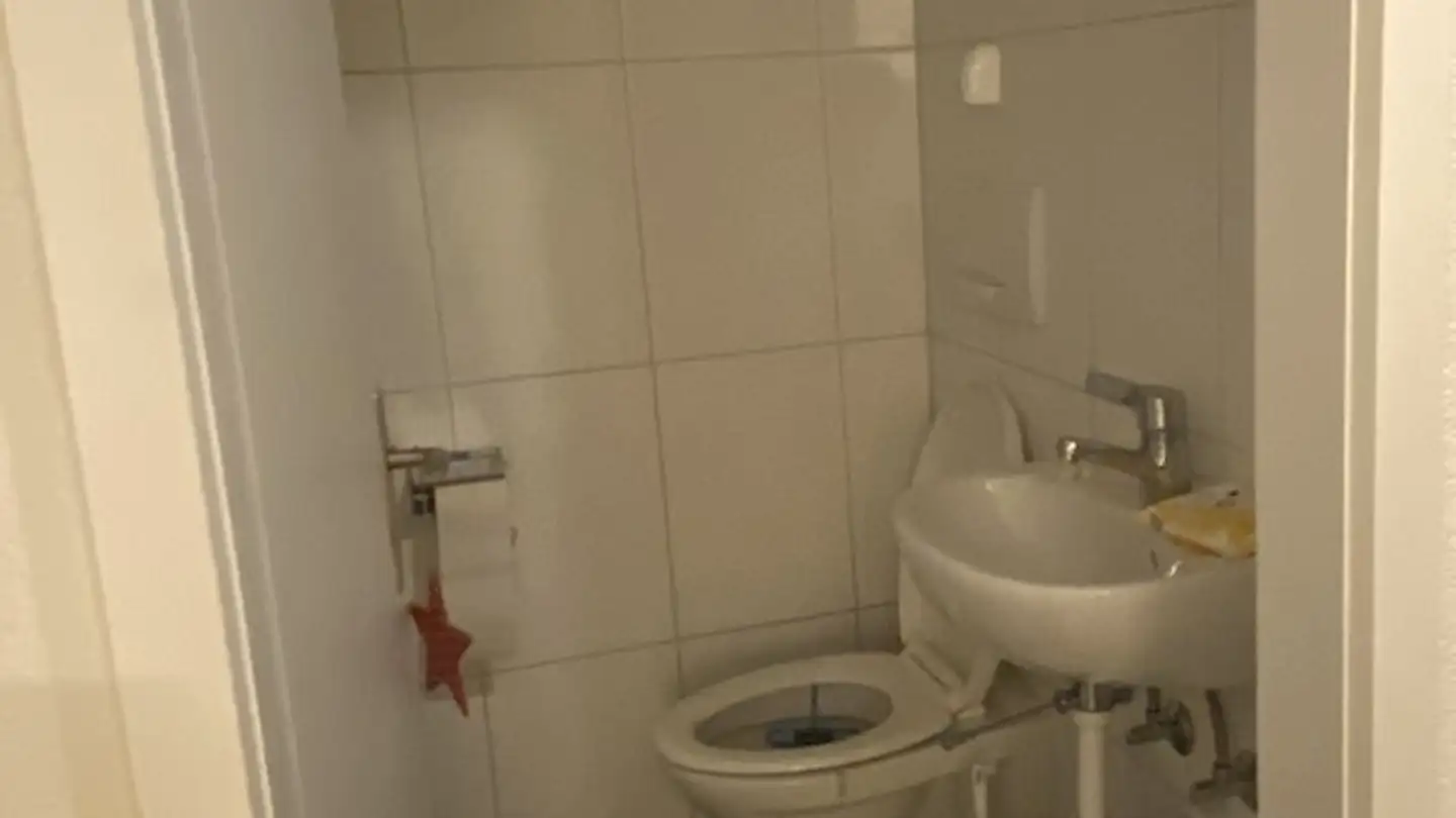 Apartment for rent - Rotbuchstrasse 42, 8600 Dübendorf - Photo 4