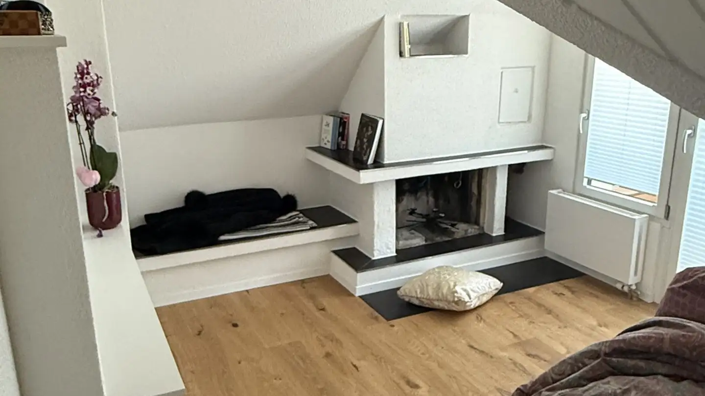 Appartement à louer - Universitätstrasse 33, 8006 Zürich - Photo 4