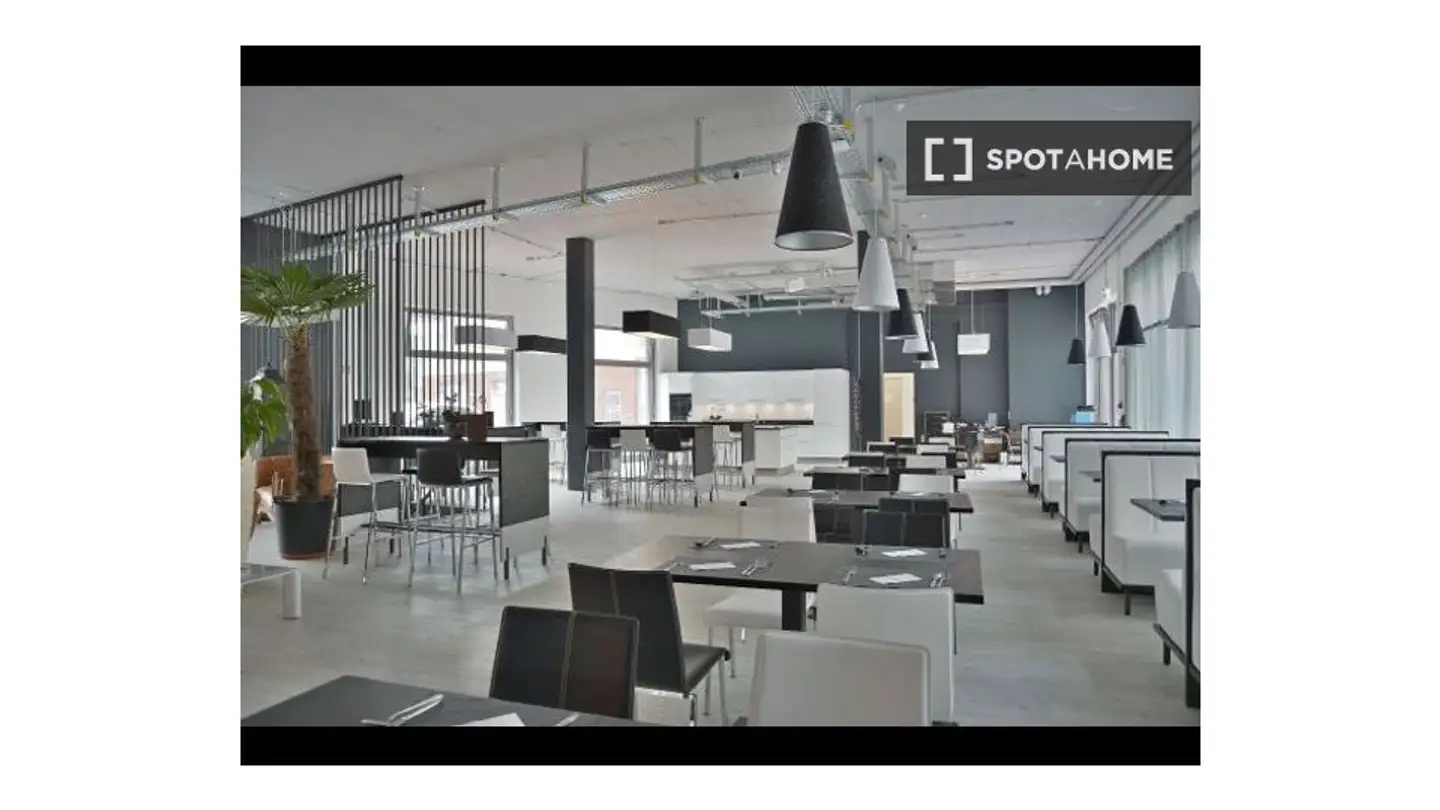 Studio for rent - 8105 Regensdorf - Photo 4