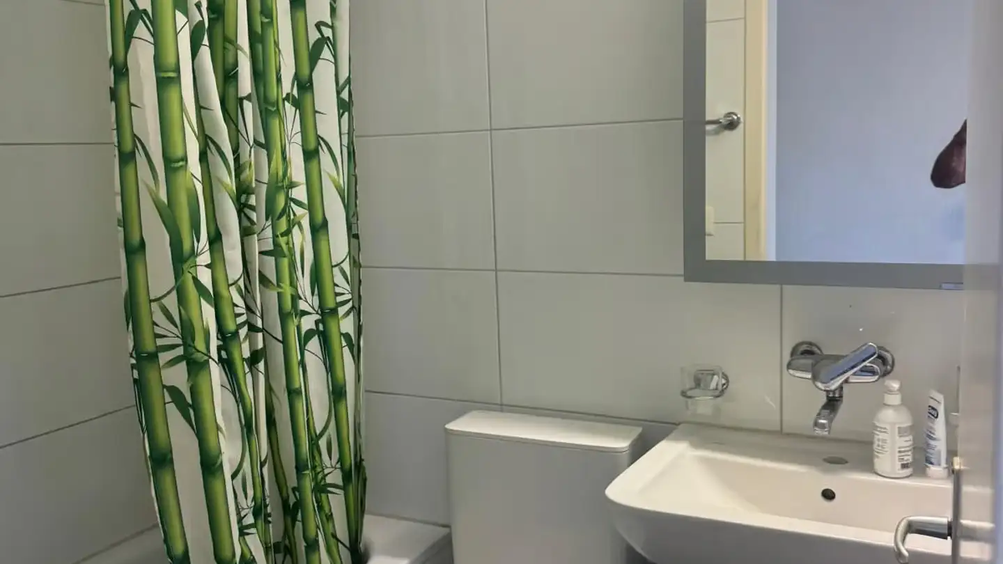 Wohnung mieten - Brandstrasse 1, 8340 Hinwil - Foto 3