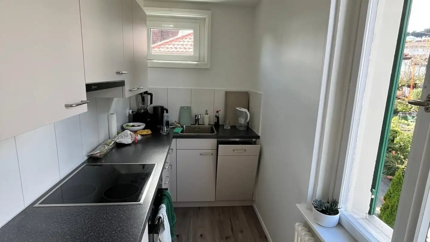 Apartment for rent - 8810 Horgen - Photo 4